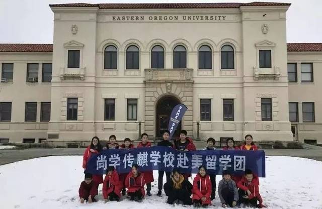 搜狐留学，新浪留学机构
