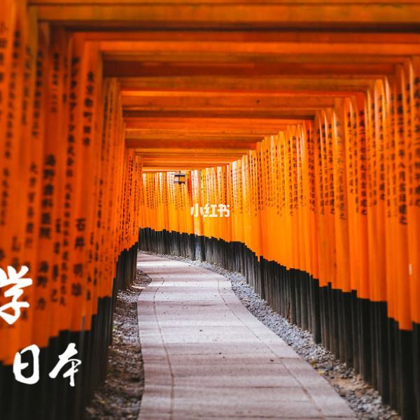 三本留学日本，三本去日本留学