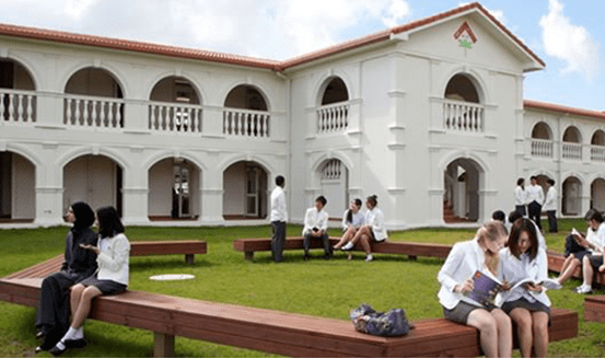 新西兰小学短期留学，新西兰小学留学条件和费用