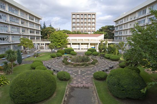 千叶大学留学条件，千叶大学本科申请条件