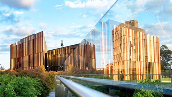 大学留学桥，剑桥大学 桥