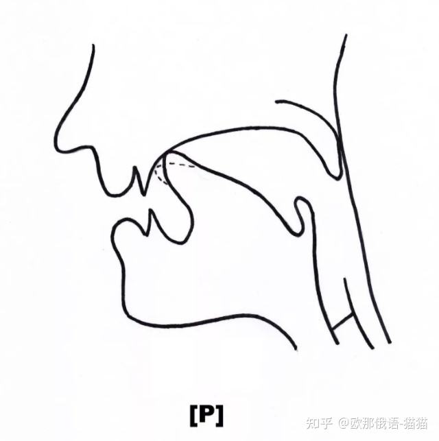 大舌音，大舌音是什么