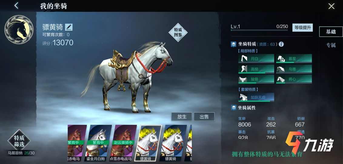 爪黄飞电，爪黄飞电公司