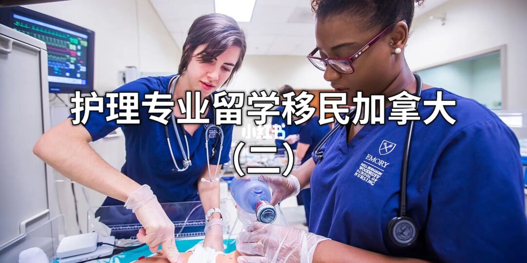护理留学，护理留学生回国待遇