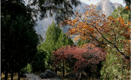 天寿山，天寿山世尊院