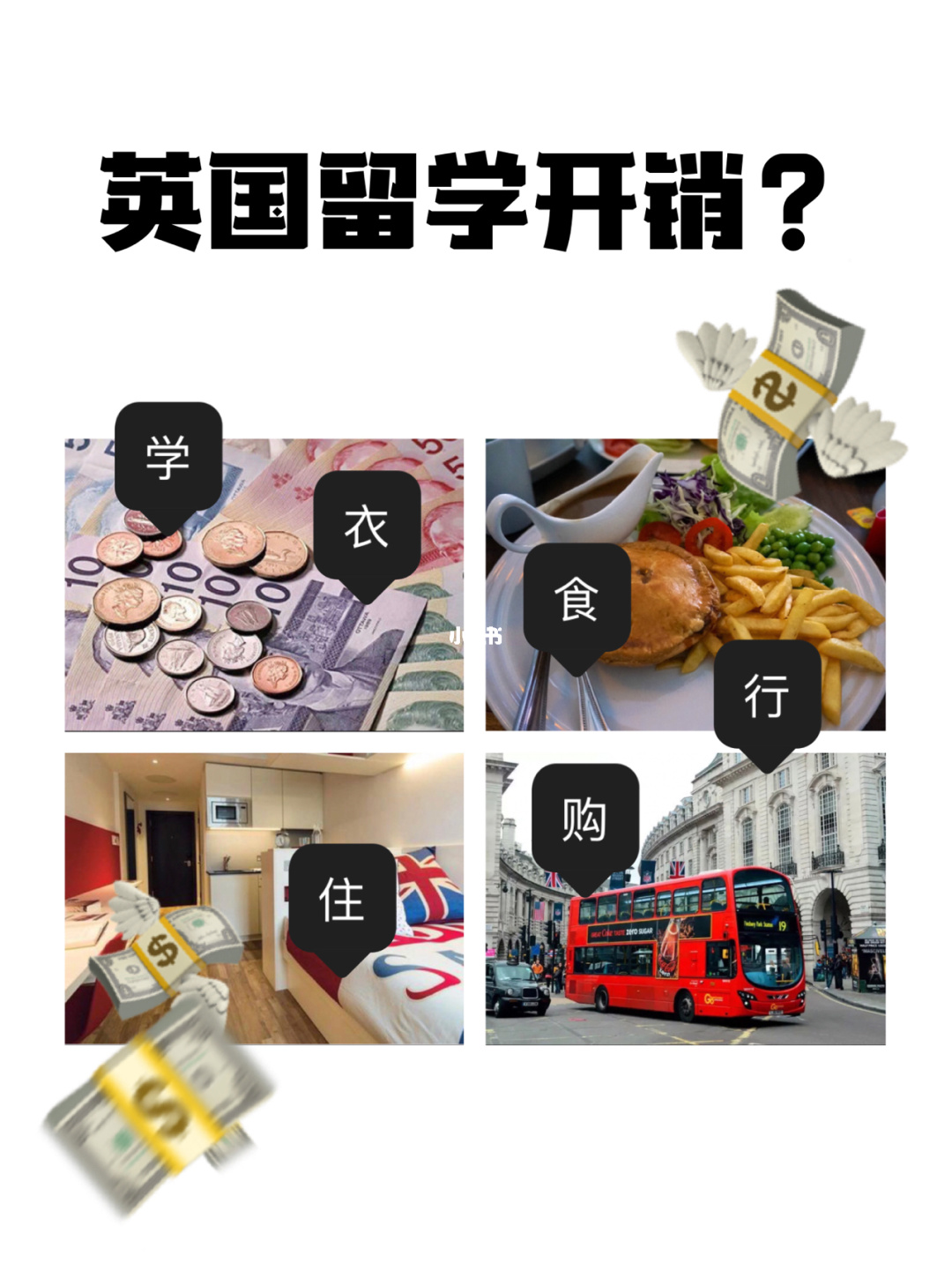 英国留学要带电饭煲吗，英国留学电饭煲怎么带上飞机