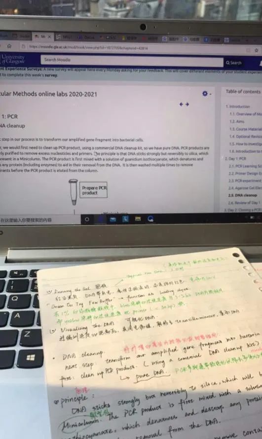 留学小组作业，留学小组作业没人跟我组队怎么办