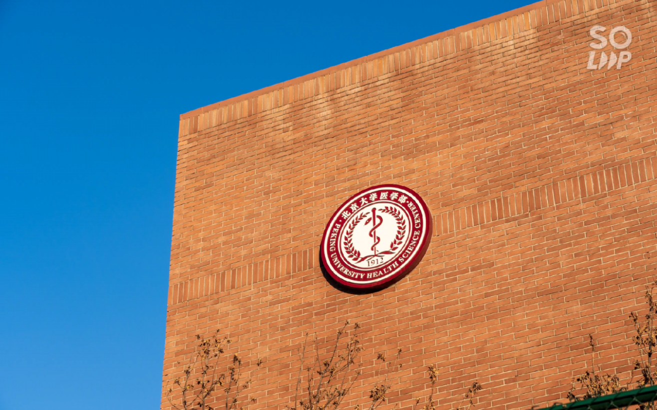 北大医学部，北大医学部毕业生去向