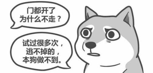 每天上班都在穿越，每天上班都在穿越番外