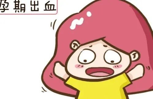 怀孕留学，怀孕流血像大姨妈一样怎么回事