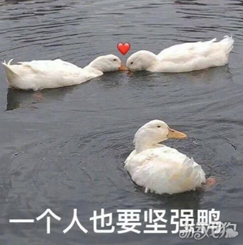 认命吧，认命吧文案