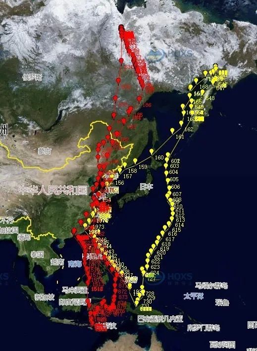 迁徙路线，北京雨燕迁徙路线