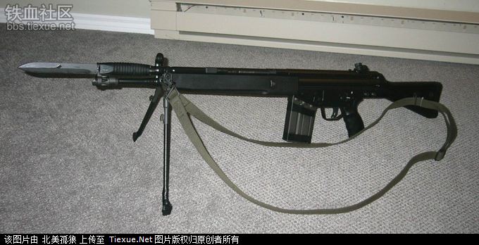 g3a3，g3a3ss是什么枪