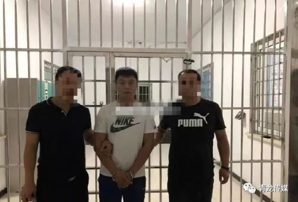 网黑，网黑查询