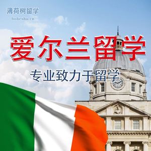 荷兰留学中，荷兰留学中专生也可以吗