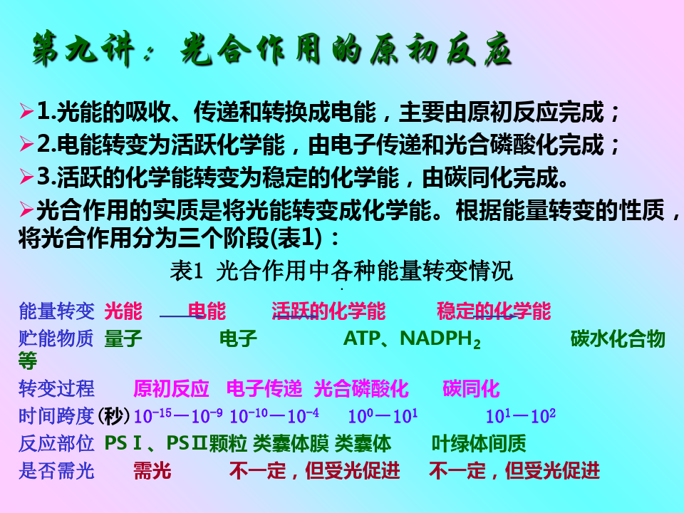 原初反应，原初反应的过程