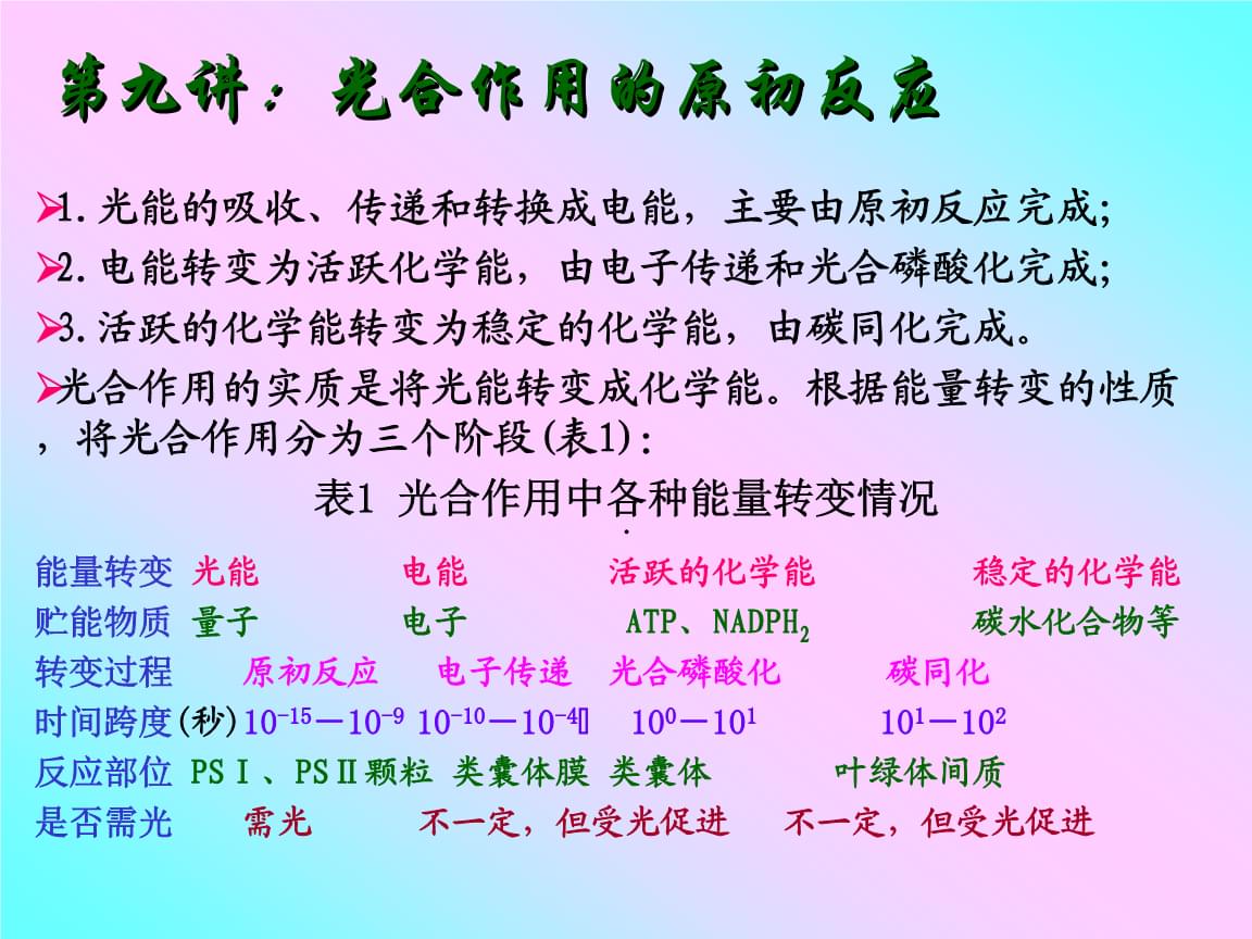 原初反应，原初反应的过程