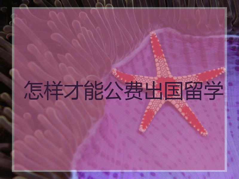 博士公费留学，博士公费留学申请条件