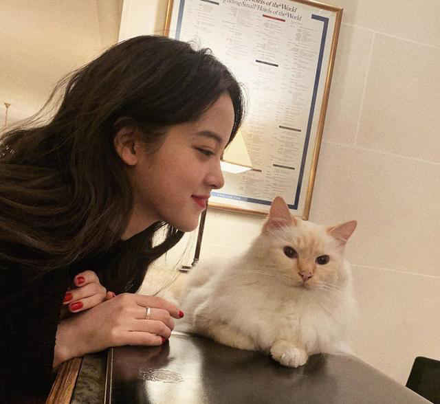 少女与狗的简单介绍