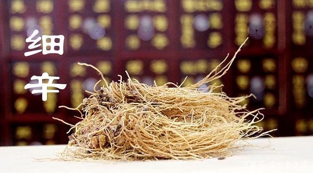 清耳通窍汤，清耳通窍汤组方剂量和治疗