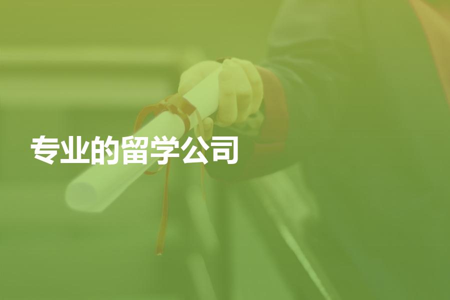 专业的留学中介，专业的留学中介机构费用