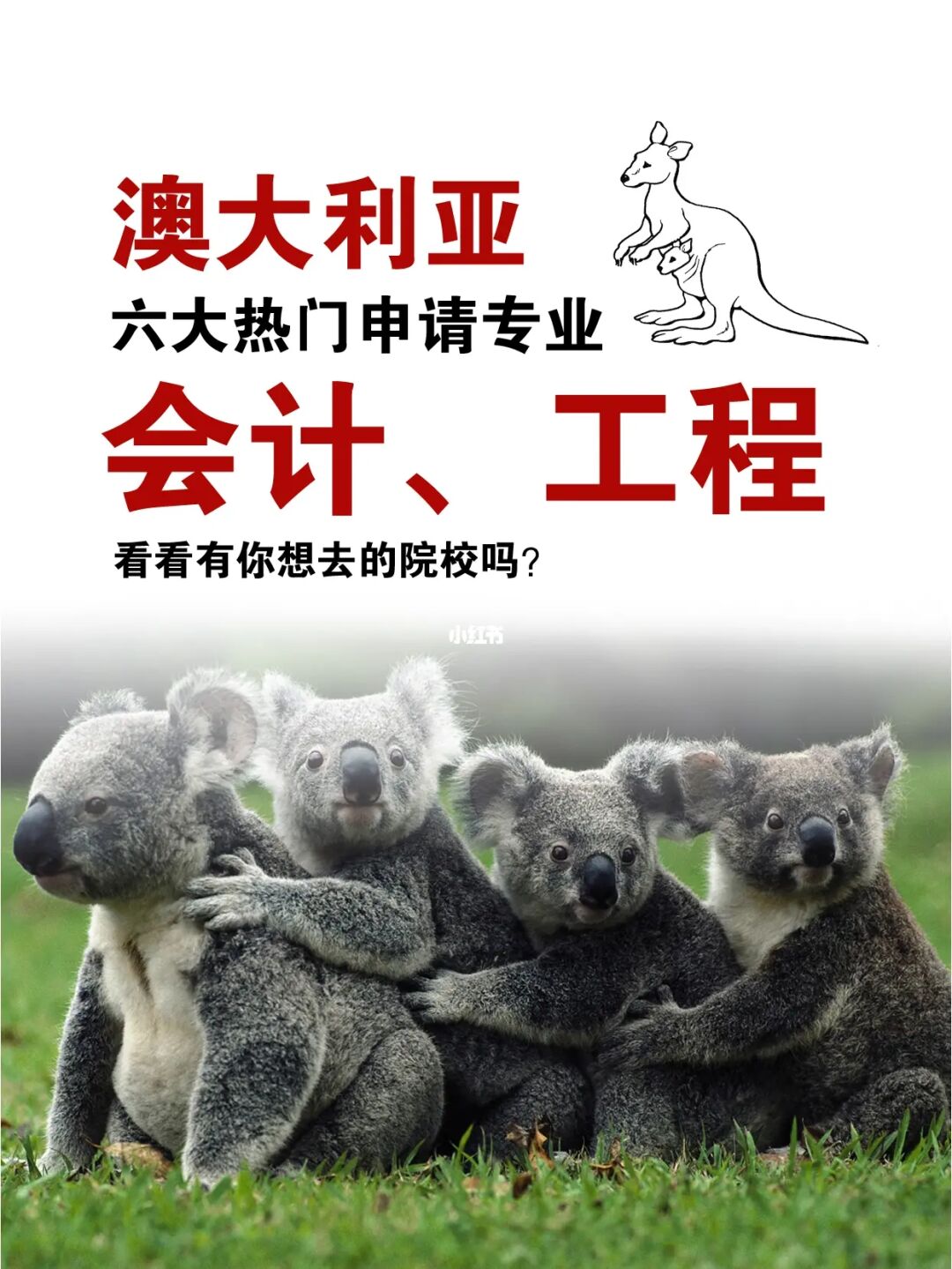 澳洲会计留学硕士，澳洲会计硕士读几年