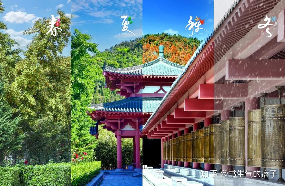 神情诗，神情诗视频