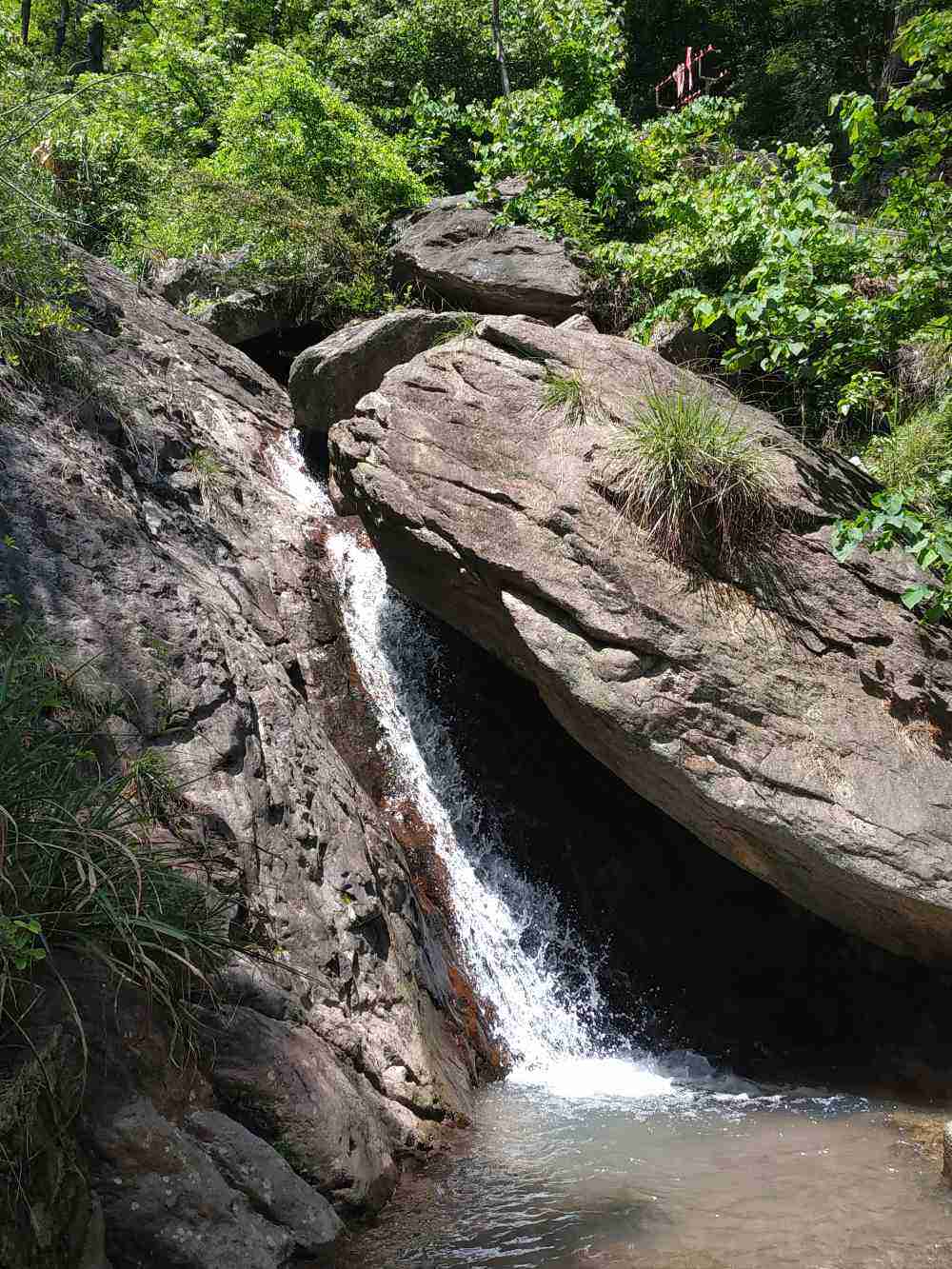 落鹤山，落鹤山大佛为什么要拆