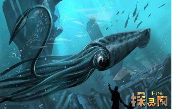 大王鱿鱼，潜水员戴夫击败大王鱿鱼