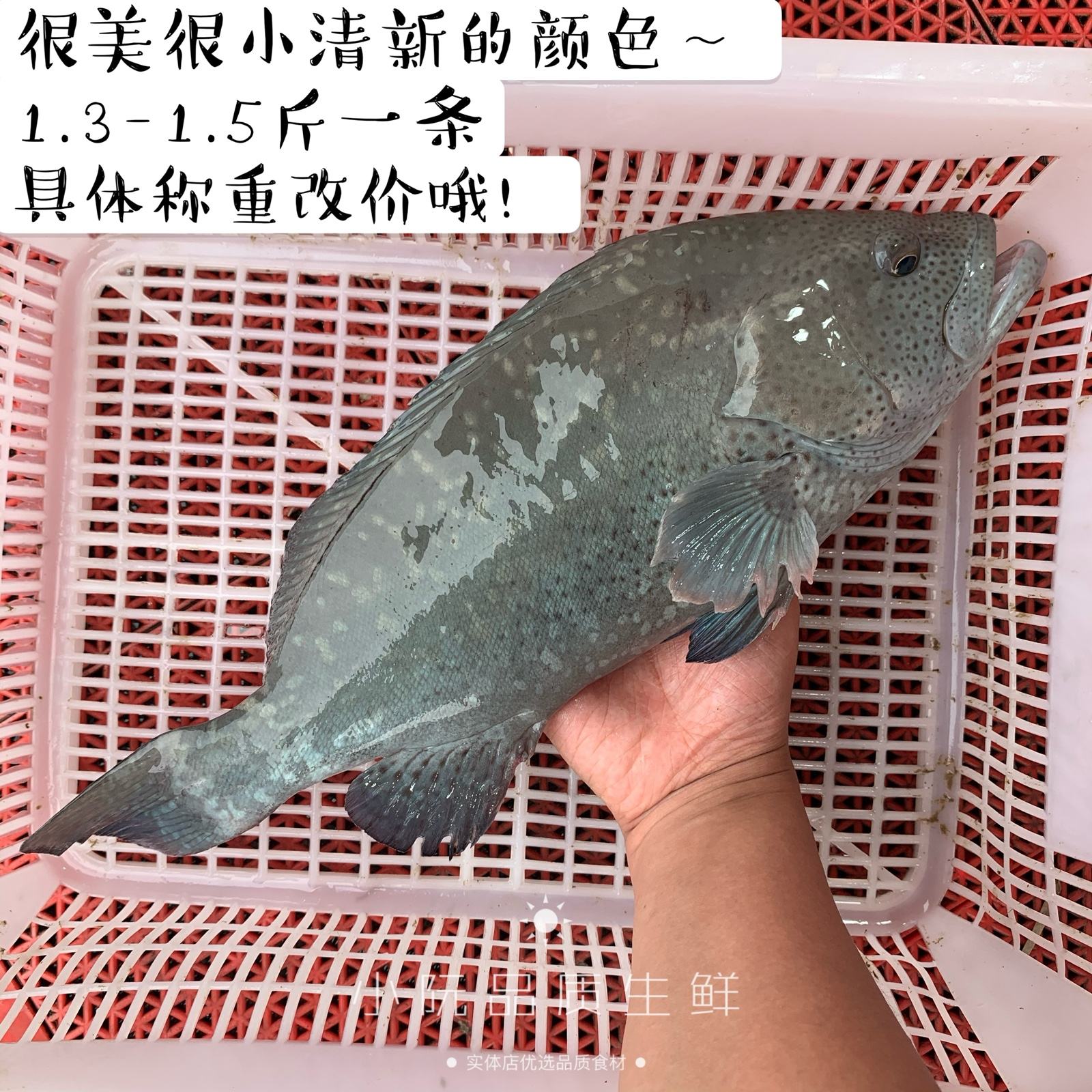 青石斑，青石斑鱼怎么做好吃视频