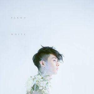 曲小白，曲小白杨凌在线阅读