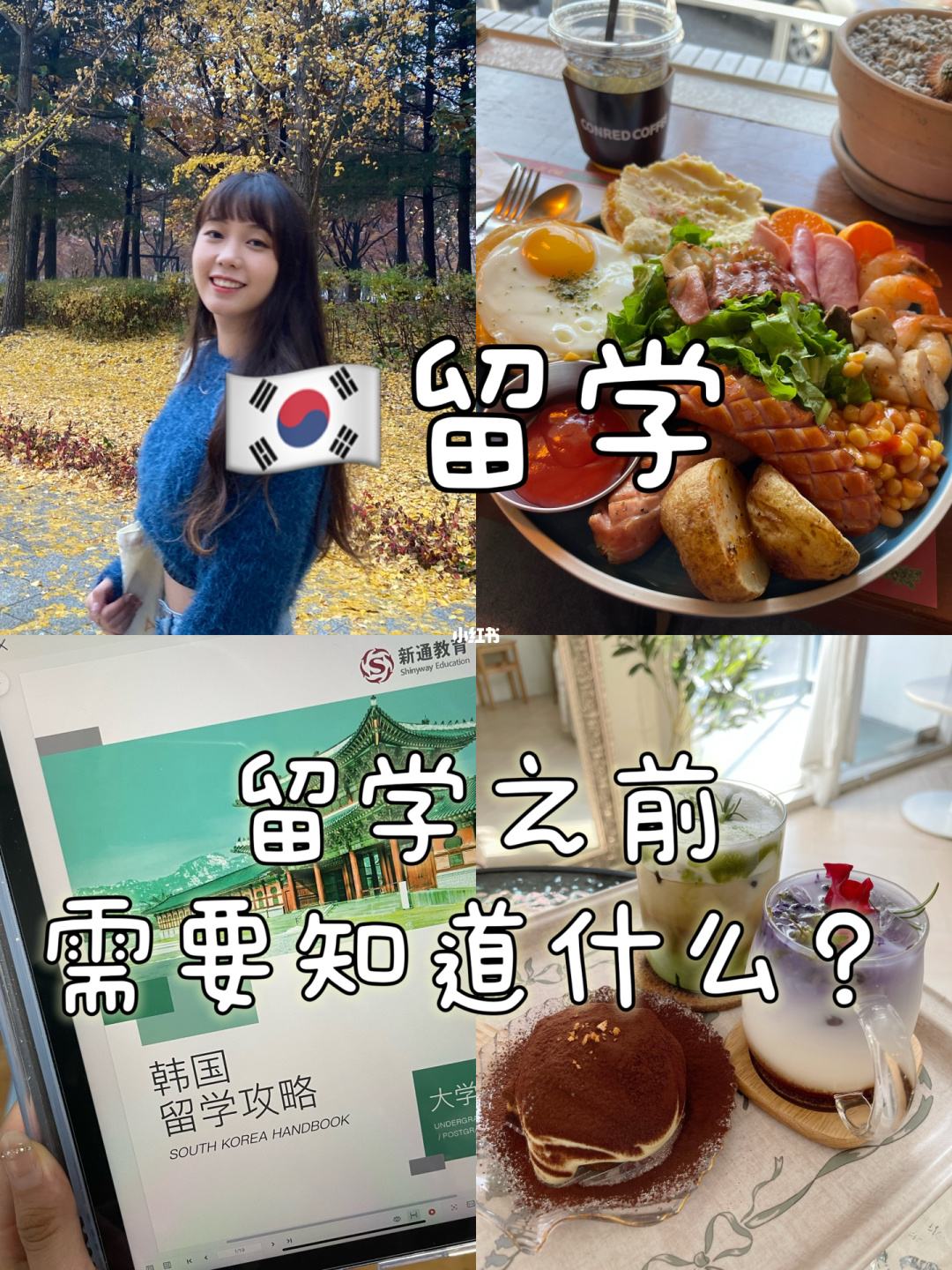 赴韩留学要求，去韩国留学要求