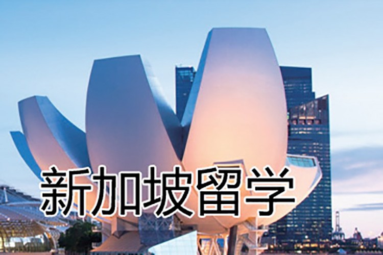高三新加坡留学，高三去新加坡留学