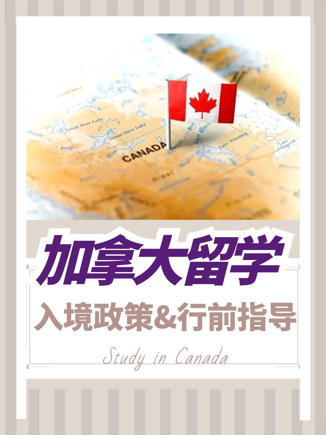 留学生免税政策，留学生免税政策可以用几次