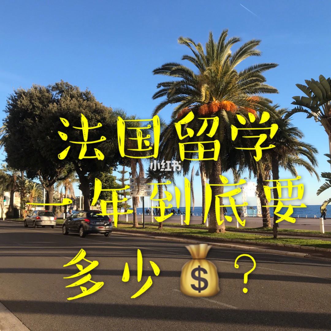 出国留学去哪国费用低，出国留学去哪个国家便宜