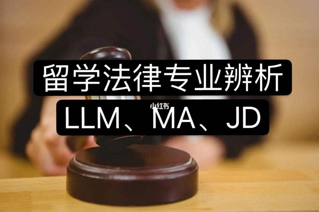 香港留学法学，香港的大学法学