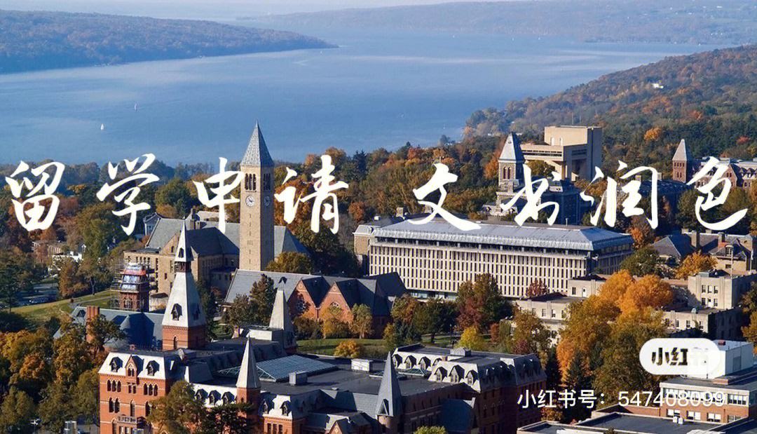 北美留学网红，北美留学网红是谁