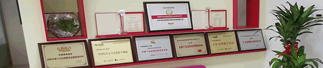 合肥出国留学，合肥皖华出国留学