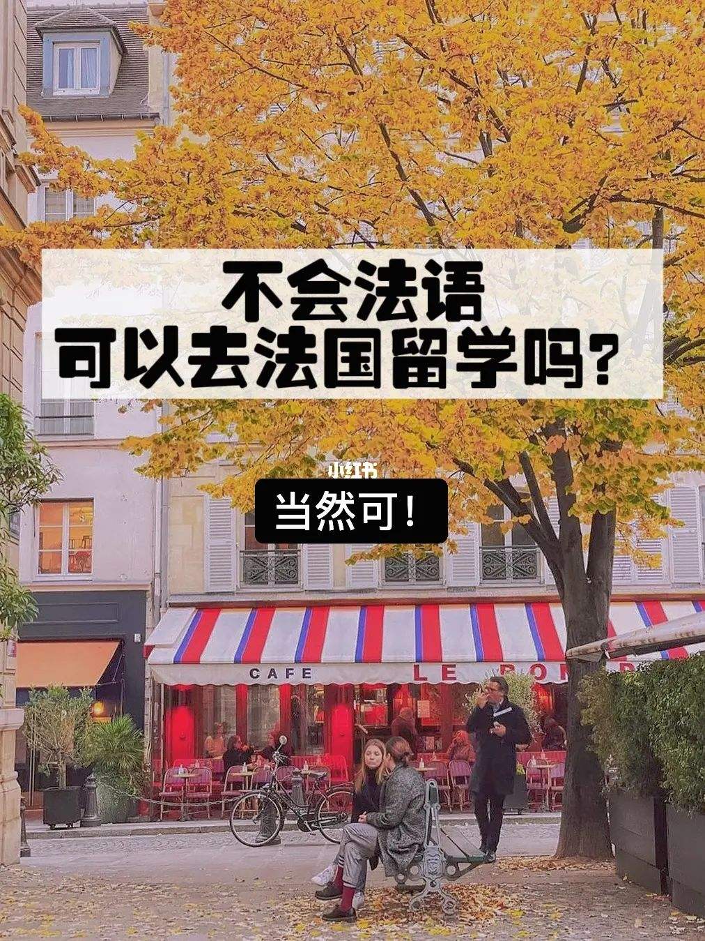 法语留学地，法语专业留学