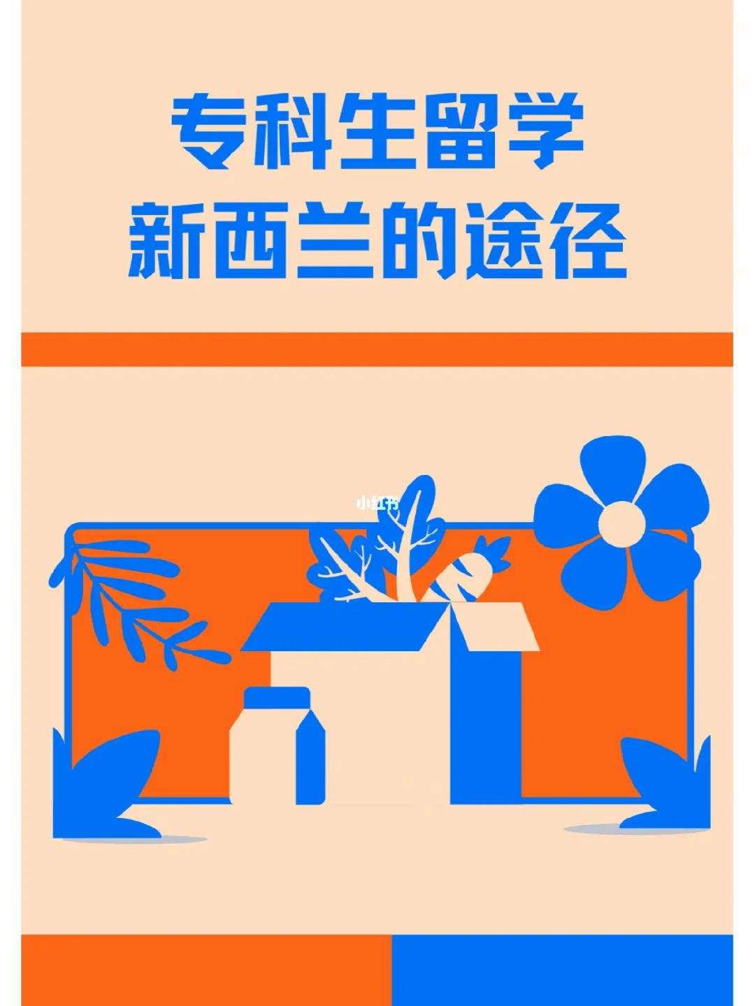 新西兰留学专升本，新西兰留学专升本有汉语国际教育吗