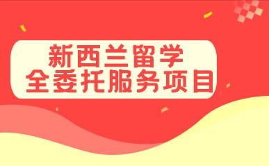 索留学机构，北京留学咨询机构