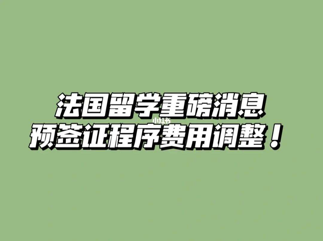 法国留学签证一天秒拒，法国留学签证迟迟不下来