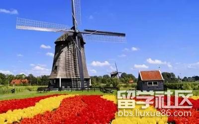荷兰留学房租，荷兰留学租不到房