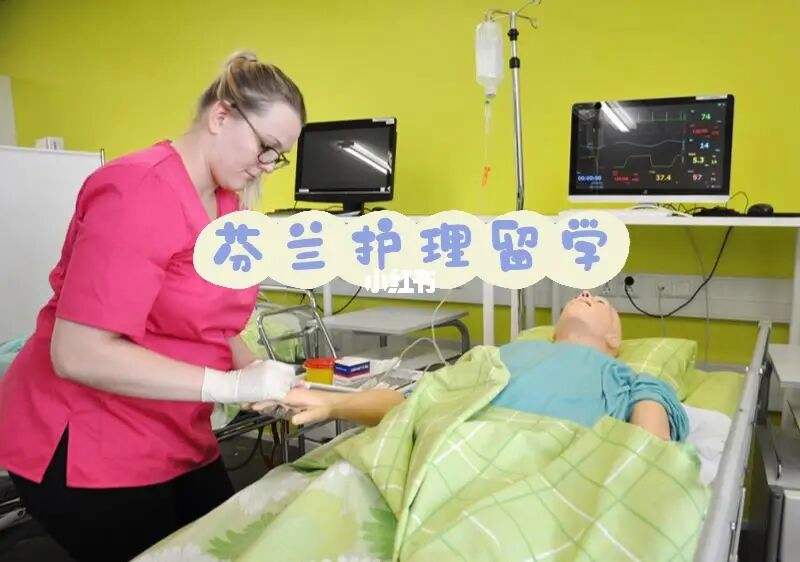 护理留学，护理硕士留学