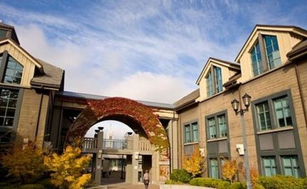 艺术类大学留学，艺术类大学留学可以上网课