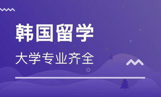 洛阳留学，洛阳留学生免税车