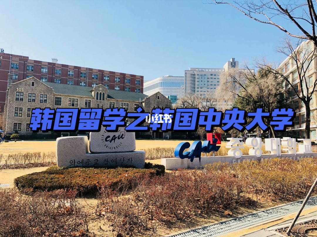 大学韩国留学，韩国适合留学的大学