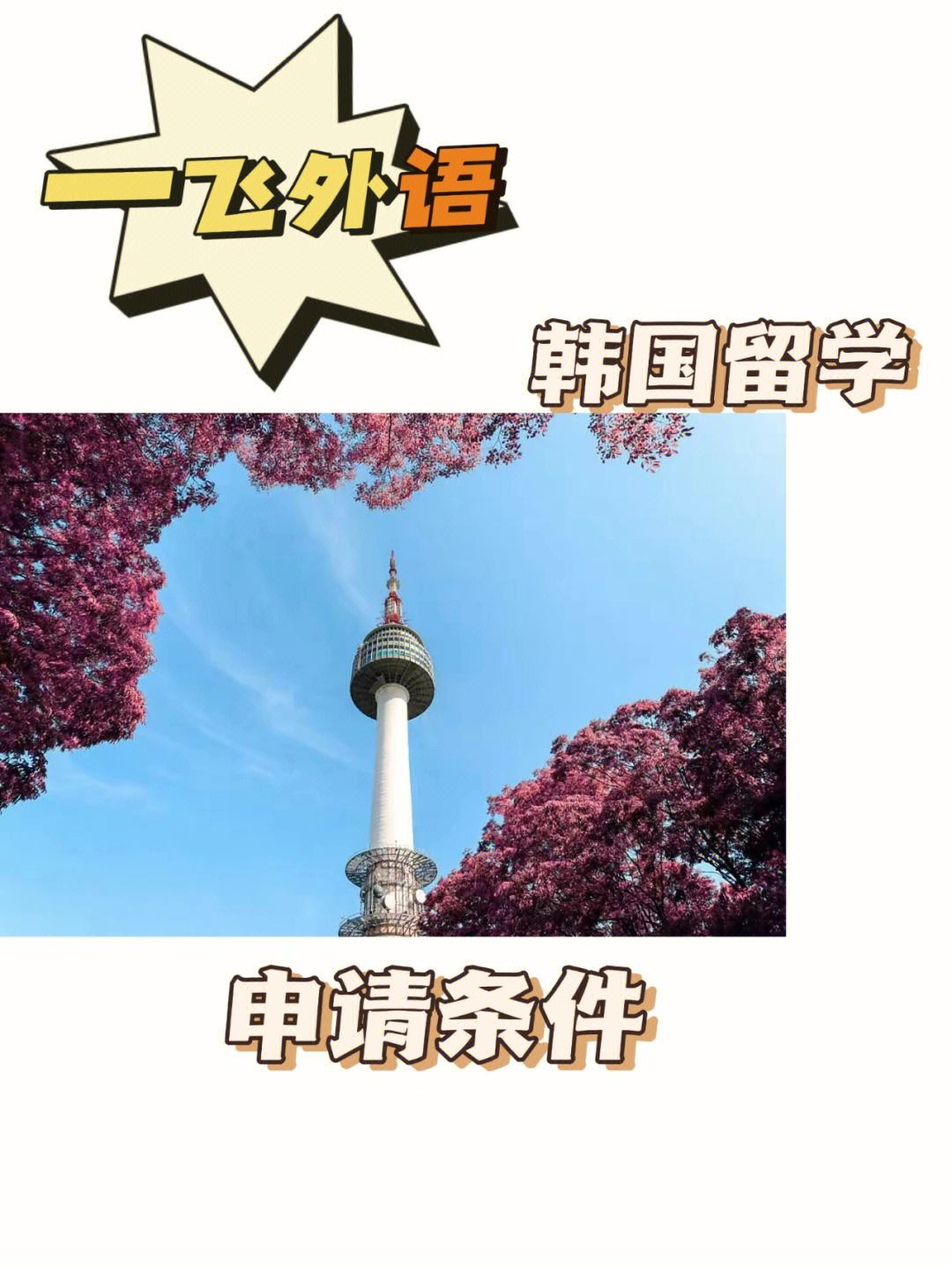 25岁留学，25岁留学本科