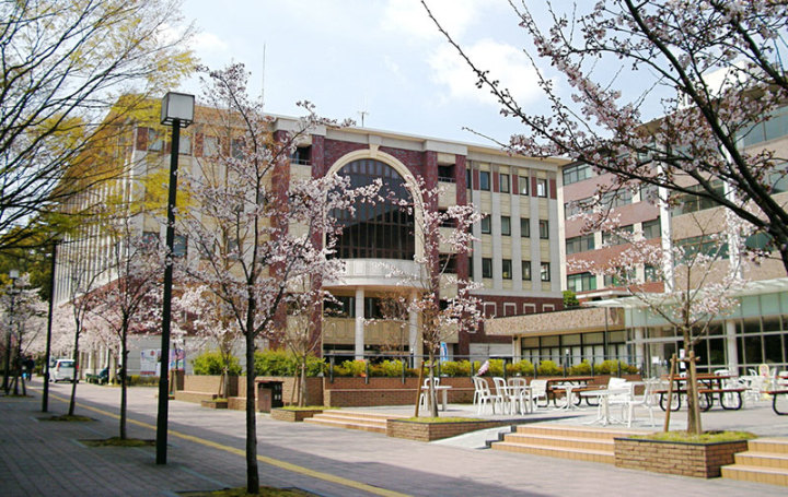 日本留学艺术院校，日本留学艺术院校排行