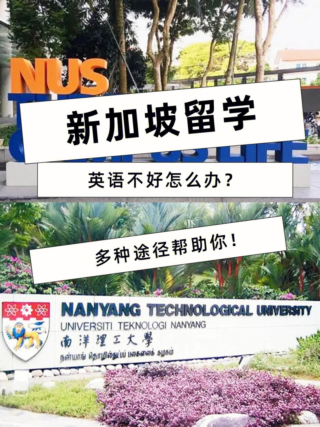 去新加坡留学的费用，去新加坡留学的费用大概多少